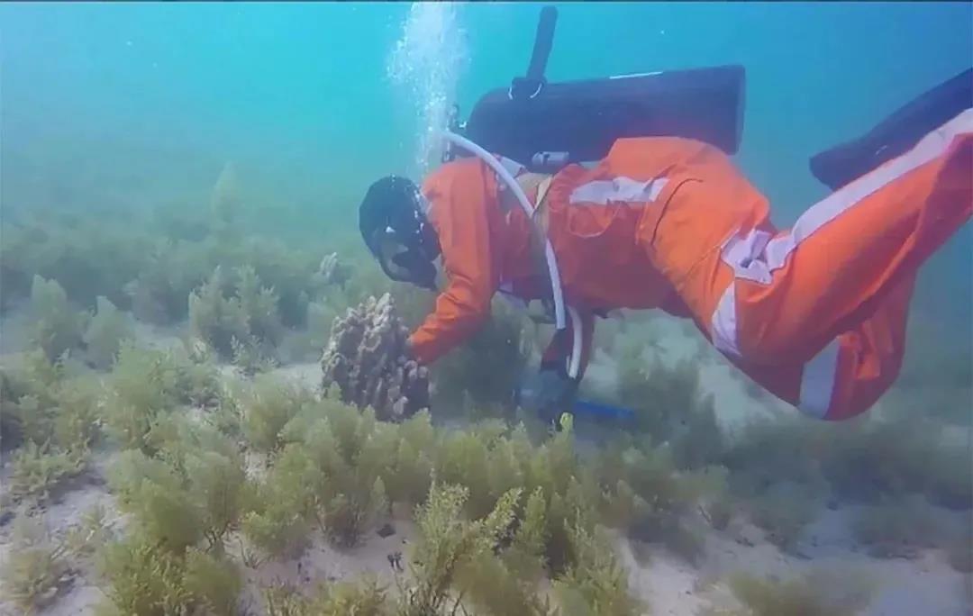 人生就是搏·(中国区)官方网站